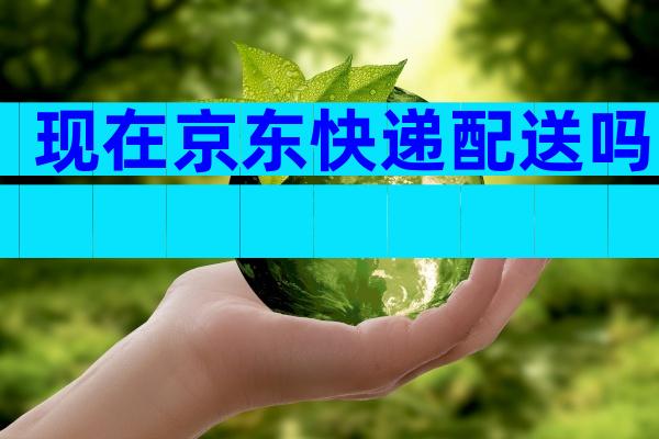 现在京东快递配送吗
