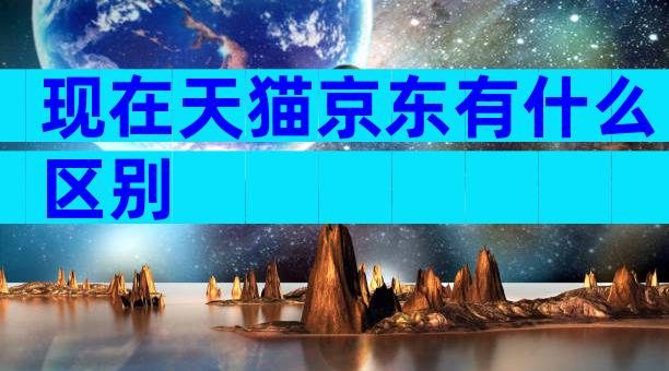 现在天猫京东有什么区别