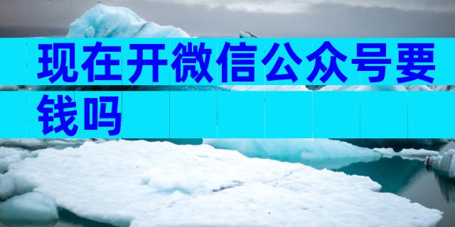 现在开微信公众号要钱吗