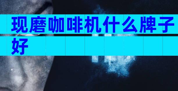 现磨咖啡机什么牌子好