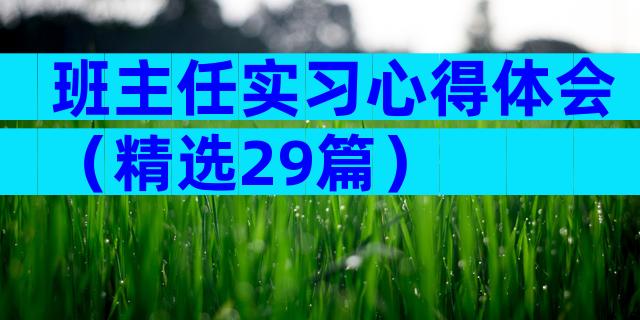 班主任实习心得体会（精选29篇）