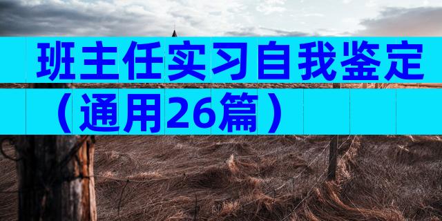 班主任实习自我鉴定（通用26篇）