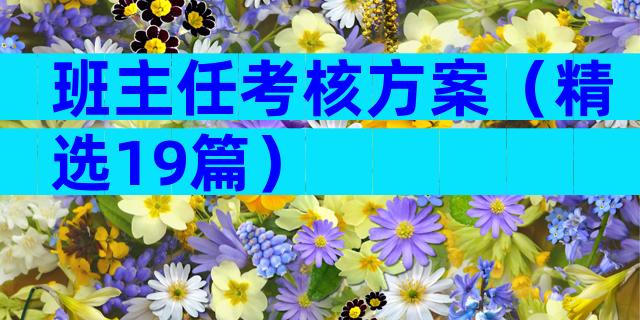 班主任考核方案（精选19篇）