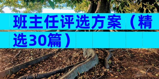 班主任评选方案（精选30篇）
