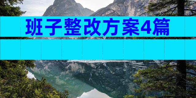 班子整改方案4篇