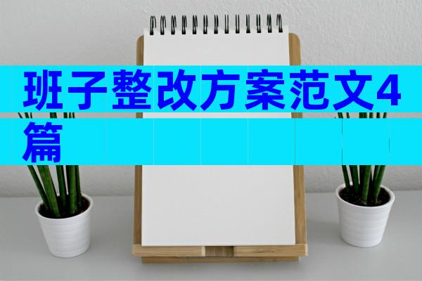 班子整改方案范文4篇