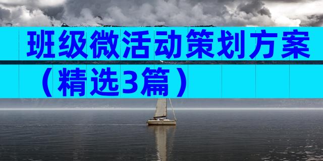 班级微活动策划方案（精选3篇）