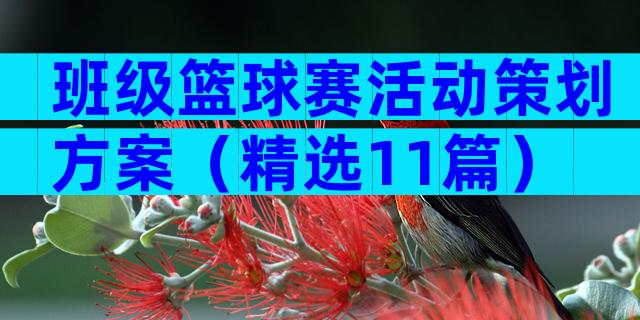 班级篮球赛活动策划方案（精选11篇）