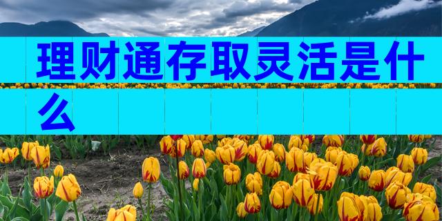 理财通存取灵活是什么