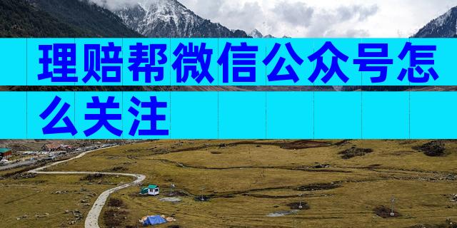 理赔帮微信公众号怎么关注