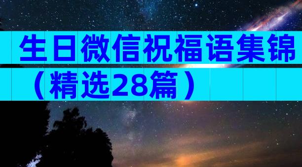 生日微信祝福语集锦（精选28篇）