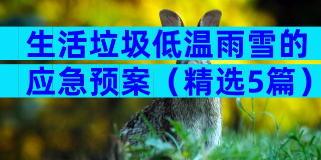 生活垃圾低温雨雪的应急预案（精选5篇）