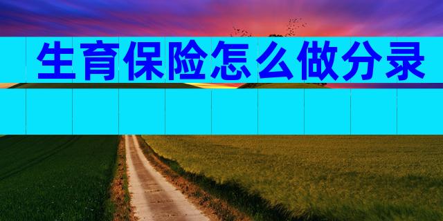 生育保险怎么做分录