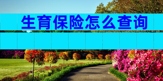 生育保险怎么查询