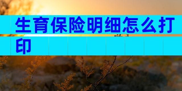 生育保险明细怎么打印
