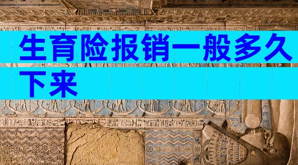 生育险报销一般多久下来