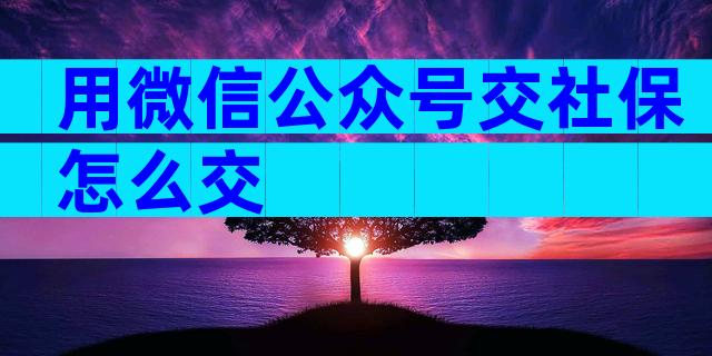 用微信公众号交社保怎么交