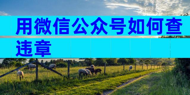 用微信公众号如何查违章