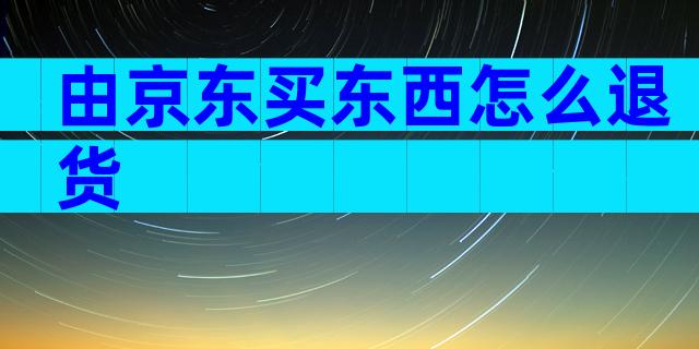 由京东买东西怎么退货