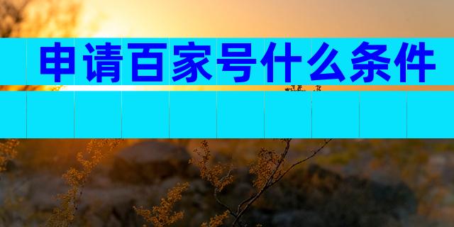 申请百家号什么条件