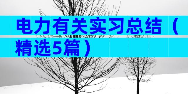 电力有关实习总结（精选5篇）