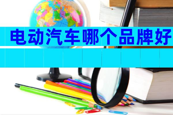 电动汽车哪个品牌好