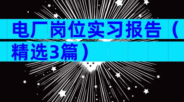 电厂岗位实习报告（精选3篇）