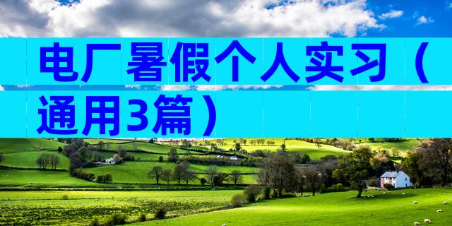 电厂暑假个人实习（通用3篇）