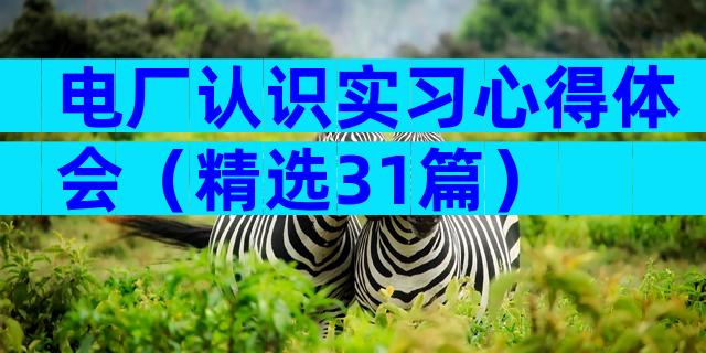电厂认识实习心得体会（精选31篇）