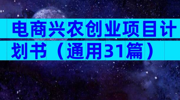 电商兴农创业项目计划书（通用31篇）