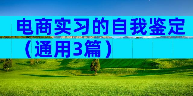 电商实习的自我鉴定（通用3篇）