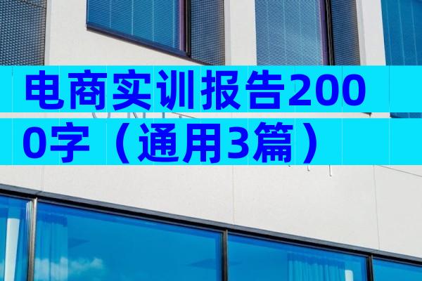 电商实训报告2000字（通用3篇）