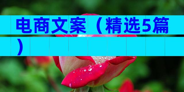 电商文案（精选5篇）