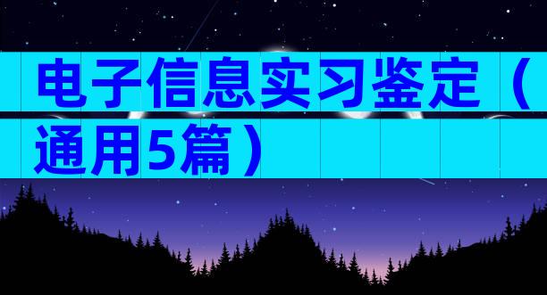 电子信息实习鉴定（通用5篇）