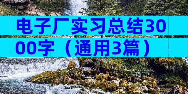 电子厂实习总结3000字（通用3篇）