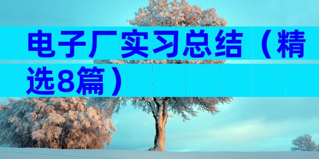 电子厂实习总结（精选8篇）