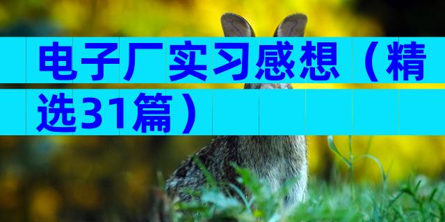 电子厂实习感想（精选31篇）