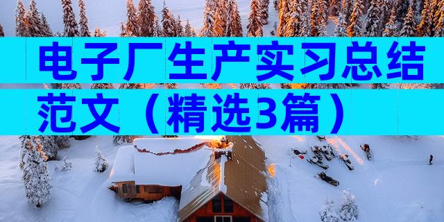 电子厂生产实习总结范文（精选3篇）