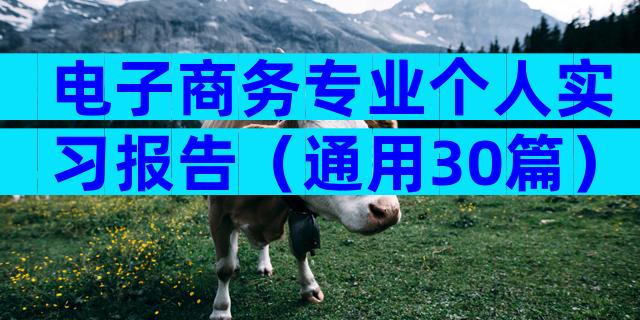 电子商务专业个人实习报告（通用30篇）