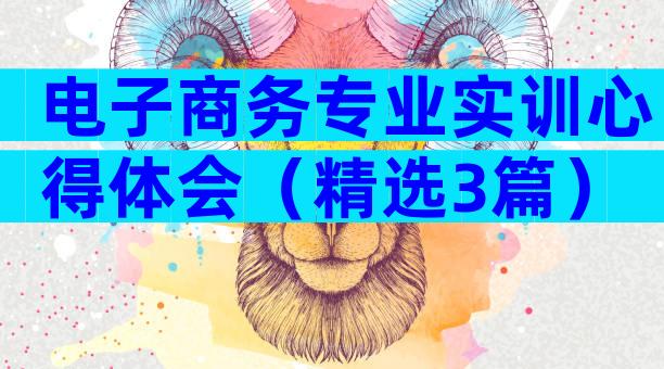 电子商务专业实训心得体会（精选3篇）