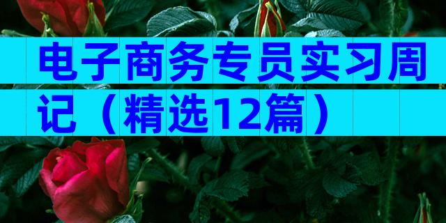 电子商务专员实习周记（精选12篇）