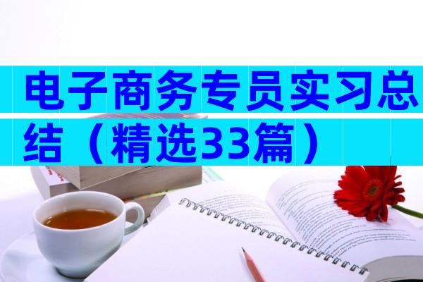电子商务专员实习总结（精选33篇）