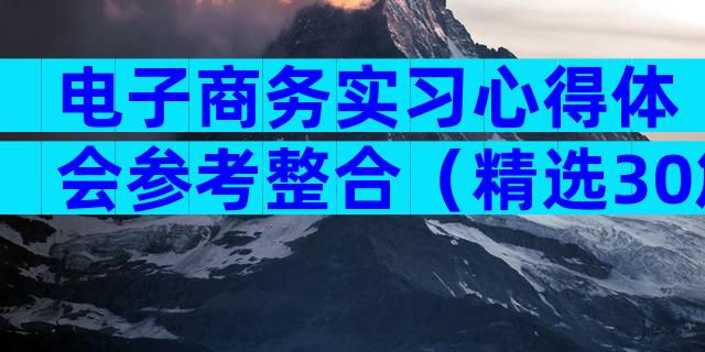 电子商务实习心得体会参考整合（精选30篇）