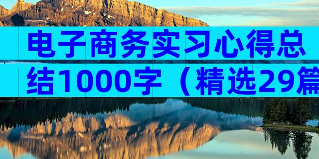 电子商务实习心得总结1000字（精选29篇）