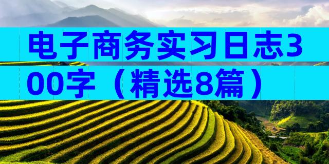 电子商务实习日志300字（精选8篇）
