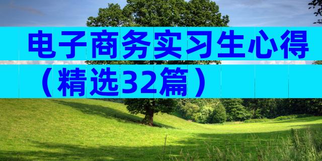 电子商务实习生心得（精选32篇）