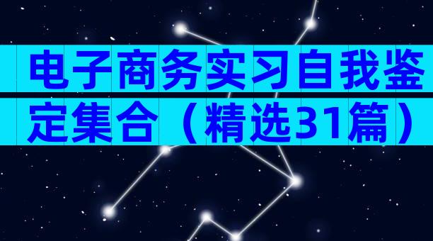 电子商务实习自我鉴定集合（精选31篇）