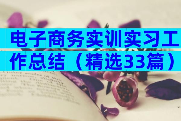 电子商务实训实习工作总结（精选33篇）