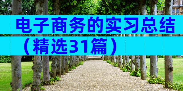电子商务的实习总结（精选31篇）