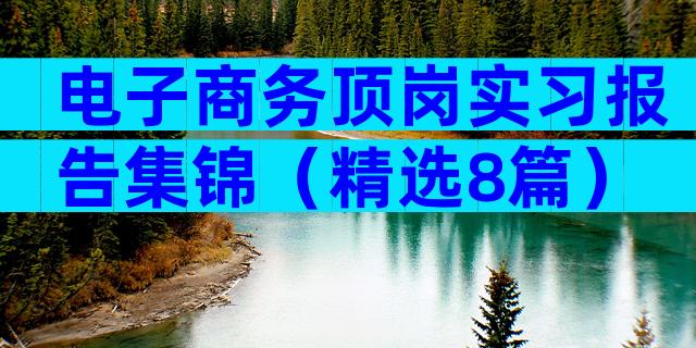 电子商务顶岗实习报告集锦（精选8篇）